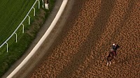 2025 Kentucky Derby: Predictions, Horses, Odds, Contenders, Jockeys, and Trainers