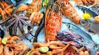 Tunisia: trade balance of fishery products shows surplus of 195.3 MD at end of July