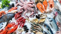 Tunisia: Trade balance in fishery products down 17.9%