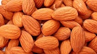 Trade War and Frosts in Turkey Drive Almond Prices Up in Uzbekistan