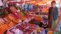 Afghanistan’s Balkh province doubles wet fruit harvest despite drought