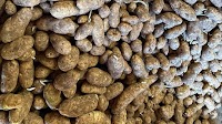 The new threat to Australia's potato industry - what is it and how can we deal with it?