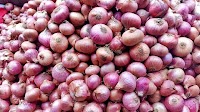 Govt to begin onion sale at Rs 35 per kg in Delhi-NCR from Thursday