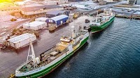 Síldarvinnslan plans purchase of Vísir for over USD 140 million