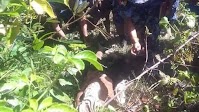 Ethnic Mro Murdered in Maungdaw, N. Rakhine
