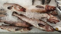 Wholesale Price of Frozen Alaska Pollock in Korea Soars 58.6% to KRW 53,600