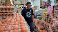 Analysts call for govt support on domestic poultry feed industry