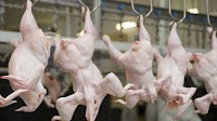 Demand for cheaper meat boosts chicken sales in Brazil