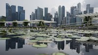 Is the Singapore dollar’s stellar run about to end?