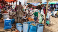 Ethiopia: The floating of the birr unlocks badly needed IMF support