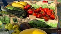 Carbon and Emery Farmer’s Market Now Accepting SNAP