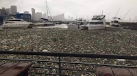 Port of Durban commence major clean-up after floods!