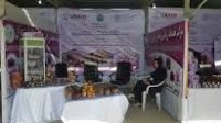 A female-owned saffron business leads the market in Herat