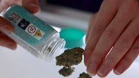 Five more legal marijuana retail licenses awarded in Central New York, bringing total to 10