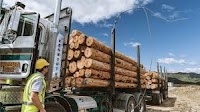 July log market report