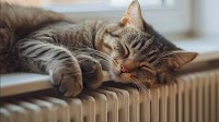 Mykolaiv residents compensated 53 million for overpayment for heat