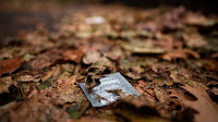 People Are Still Having Sex. So Why Are S.T.D. Rates Dropping? (Published 2020)
