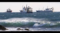 Iceland’s February 2025 Catch Value Drops 12% as Pelagic Sector Plunges