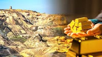 He discovered a gold deposit in Otago worth $4 billion – but the government shut it down