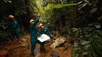 Biodiversity