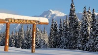 Sale Price Slashed for Snowy Canadian Ski Resort
