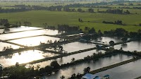 Vietnamese pangasius firms post strong Q2 recovery amid trade tensions