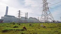 IPPs set to shine again