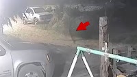 Running Dog Appears to Morph Into Human in Creepy Video