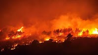 Syria’s wildfires spread: Injuries mount as northeast joins firefighting effort - Shafaq News