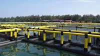 Brunei expansion is make-or-break move for Chinese firm Hiseaton
