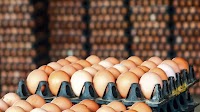 Egg prices soar to 400 PKR in Lahore amid failure to impose government rates