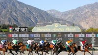 Tokyo City Cup to Run as Non-Listed Black-Type race in 2025