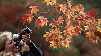 Celebrate World Photography Day by showing NPR the coolest shot you've ever captured