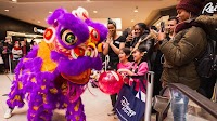 Things to Do to Celebrate Lunar New Year in Toronto & GTA – 2025