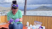 From Utah to Peru: UVU Water Scientists Lead Fight Against Contamination