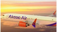 In crisis, may shut down: Akasa Air SOS to Delhi HC after pilots' exit