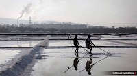 Ports ministry proposes to acquire over 5,000 acres of salt pan lands in Maharashtra