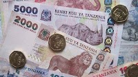 Tanzania Declares Tanzanian Shilling as Sole Legal Tender, Ends Dollar Transactions