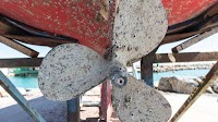 Tyrosine-derived polybenzoxazine coatings offer eco-friendly marine anti-fouling solution
