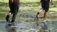 Iraq plans to build 10 dams to harvest desert rains, as drought displaces 10,000 families in Dhi Qar