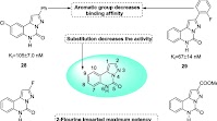 Fig. 6. SAR of 28e31 acting on benzodiazepine receptor.