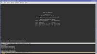 Two decades of productivity: Vim’s 20th anniversary