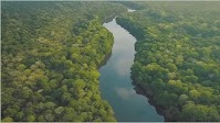 IDB Invest and IFC Launch the Amazon Finance Network