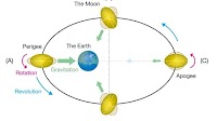 Still hot inside the Moon: Tidal heating in the deepest part of the lunar mantle
