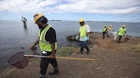 12 Tragic Images Of The Massive Molasses Spill At Honolulu Harbor