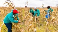 We're partnering with FMO and AgFunder to launch an African agritech news and research platform