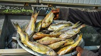 (Hello Africa) Cameroonians struggle to cope with rising food prices