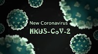 Health Ministry Asks ICMR To Monitor Bat Virus- HKU5-CoV