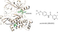 Discovery of Asciminib (ABL001), an Allosteric Inhibitor of the Tyrosine Kinase Activity of BCR-ABL1