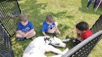 Gowanda Central School District celebrates second-grade agricultural pen pal program